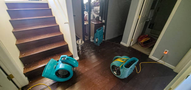 Best Water damage restoration near me  in Sparta, MI