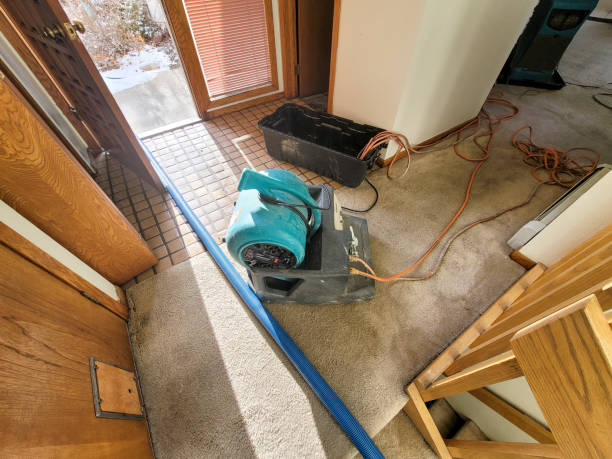 Best Mold removal after water damage  in Sparta, MI