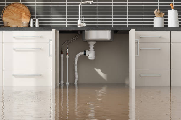 Best Flood restoration services  in Sparta, MI